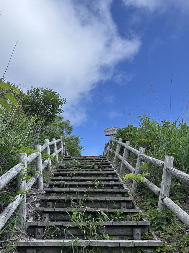 暑假去日本6日遊 玩爽還不踩坑