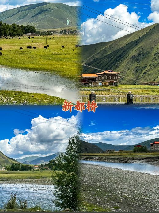 支那 墨蹟大成 墨迹大成_百度百科