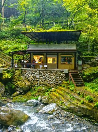  驟雨が空を切り裂き、青翠を望む：日原鍾乳洞を出て、激流の緑と木橋の水墨画のような風景に出会う