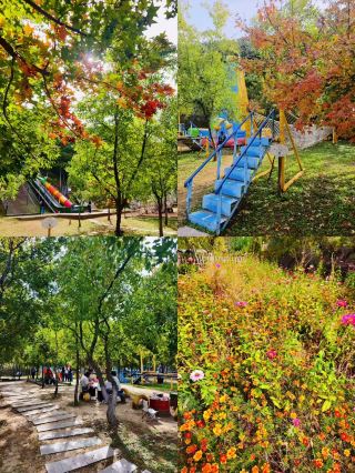 延慶の青山園をリピート｜中秋節・国慶節にぴったりのリラックスできる子連れスポット