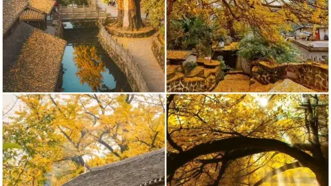 Октябрь без толп: 4 малоизвестных города для трехдневного отдыха — traveler post in Мули
