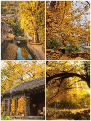 Uncrowded October: 4 Niche Cities Perfect for a 3-Day Getaway