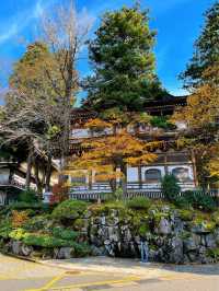 【禅の道場】大本山 永平寺