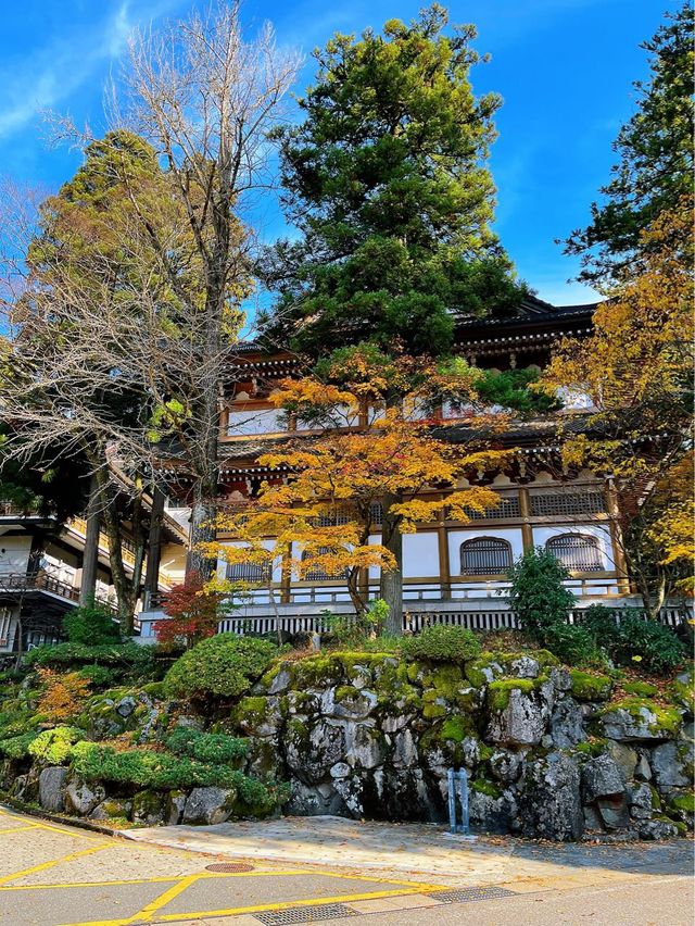 【禅の道場】大本山 永平寺