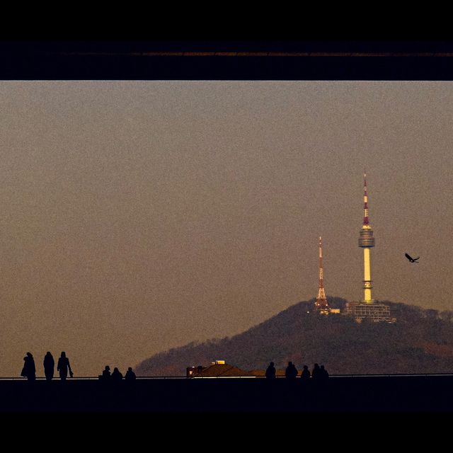 사유의 방이 있는 국립중앙박물관💎