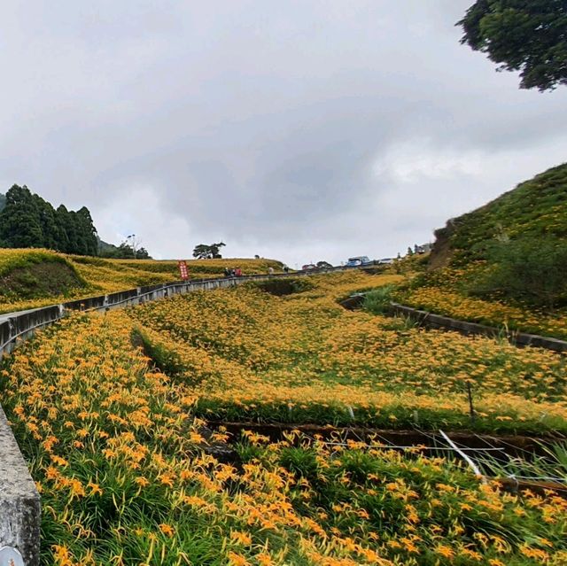 一生必來一次的限定花景
