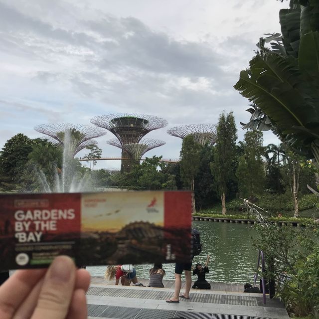 🌳新加坡的空中花園🌿