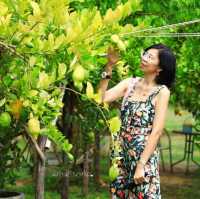 พสุธารา สวนเลมอนใกล้กรุง