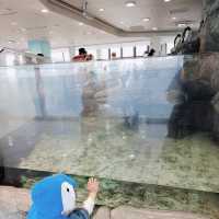 子どもと行く　海遊館～USJ　フェアリー移動