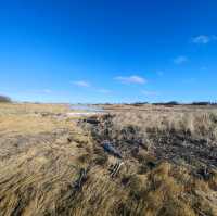 Icy Oasis: Winter's Hold on Sandy Hook's Pond