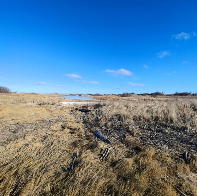 Icy Oasis: Winter's Hold on Sandy Hook's Pond