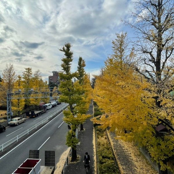 【東京】駒沢オリンピック公園
