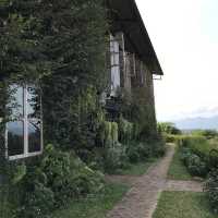 Rocha cafe & Bistro 