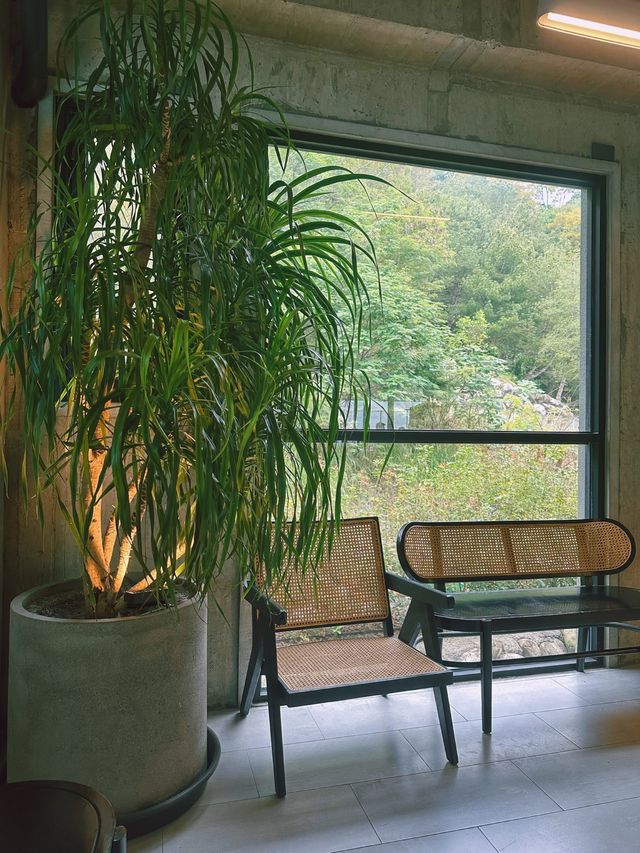 《台中》俯瞰整個大坑的風景 絕美約會景觀餐廳-眺高 STAY WITH MOUNTAIN