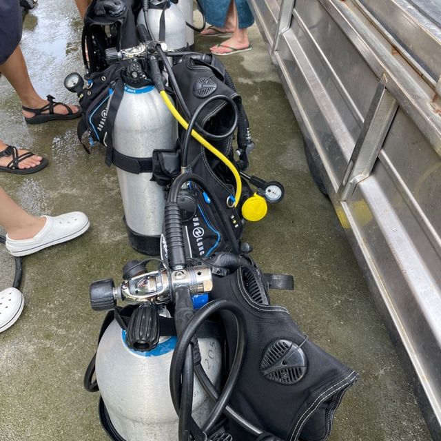 5星級海龜島住宿潛水享受之旅｜琉潛
