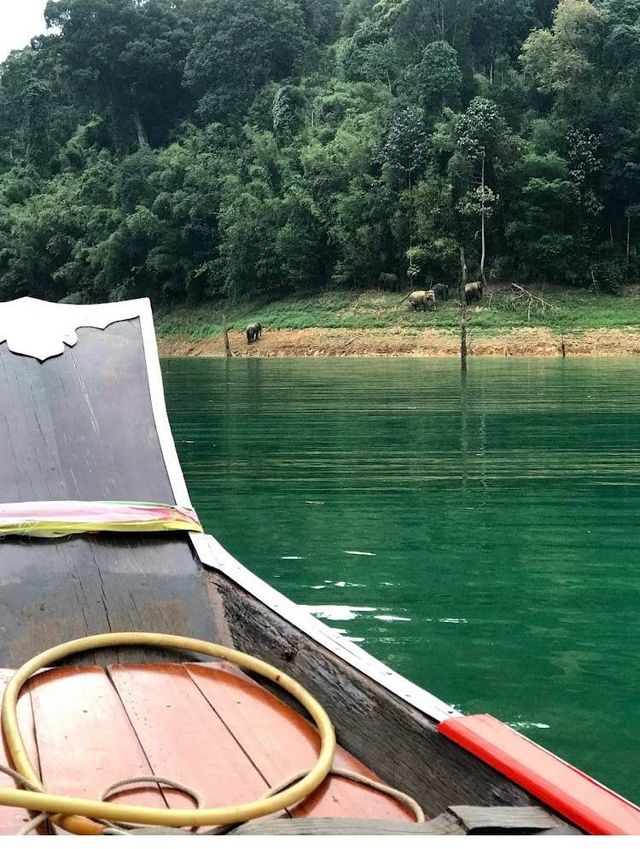 แพ 500 ไร่ (500 Rai Khao Sok Floating Resort)