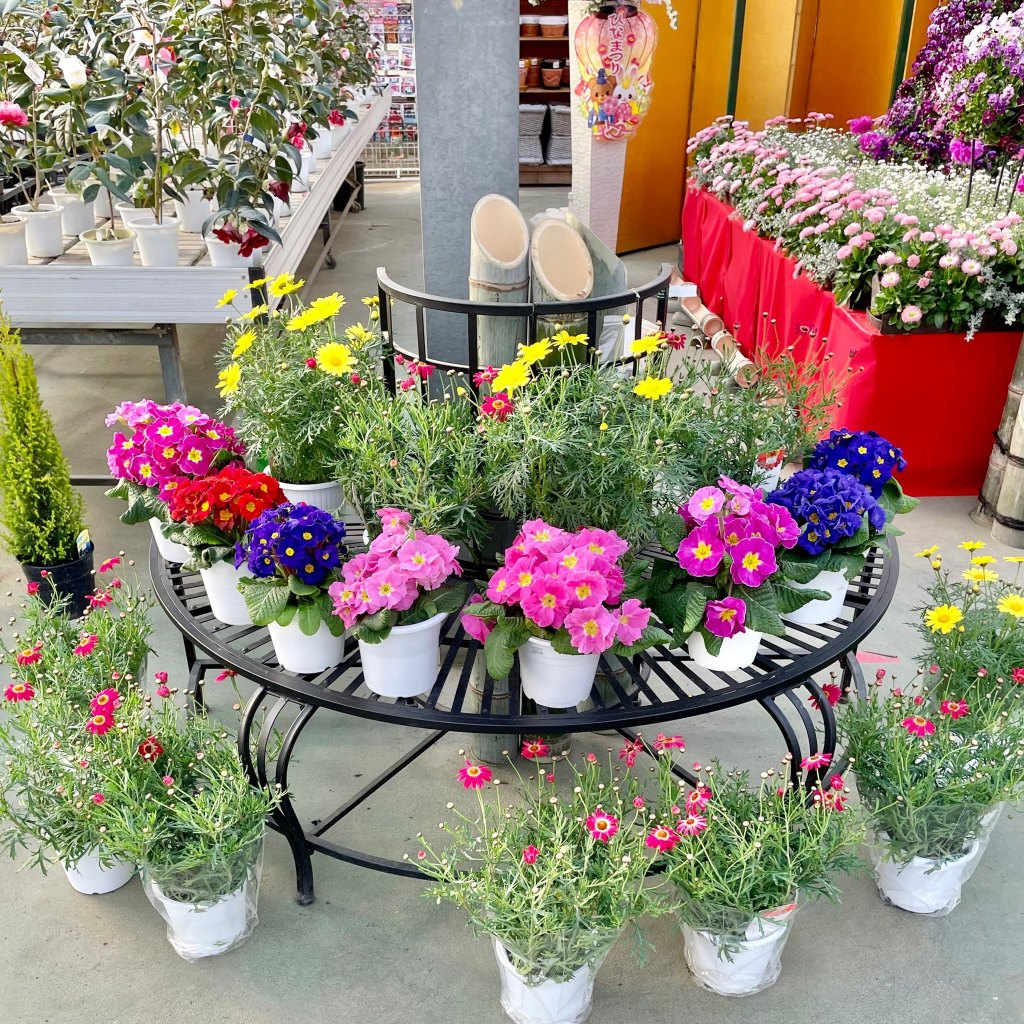 パンジーハウスさん専用 鴻巣農産物直売所パンジーハウスのおすすめショッピング2026年（1月