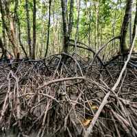 นั่งเรือ ชมธรรมชาติ ที่...