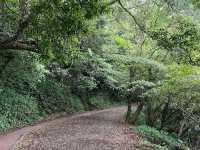 陽明山二子坪步道，非常簡單容易完成，適合親子來散步觀賞生態