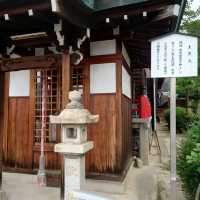 愛知旅行！名古屋「秋葉山円通寺」