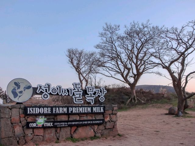 제주의 대표적인 목장, 성이시돌 목장