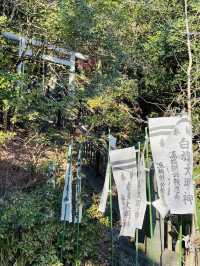 【神奈川県/白旗神社】源頼朝公ゆかり・正月だけ開所される神社