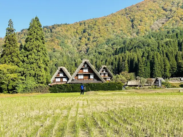 日本名古屋｜世界文化遺產白川鄉