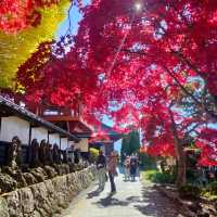 Nagano Autumn Trip last year 