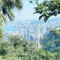 大年初一，晴空萬里，行大運，港島徑！