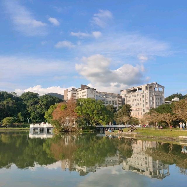 美麗又好散步的碧湖公園