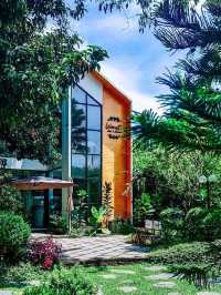 Warista cafe and garden 🥤🌳