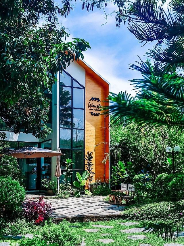 Warista cafe and garden 🥤🌳