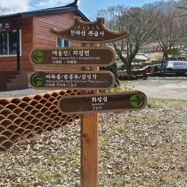 드라마 우영우 촬영지 관음사