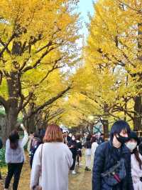 BEEN THERE, DONE THAT, AUTUMN IN JAPAN