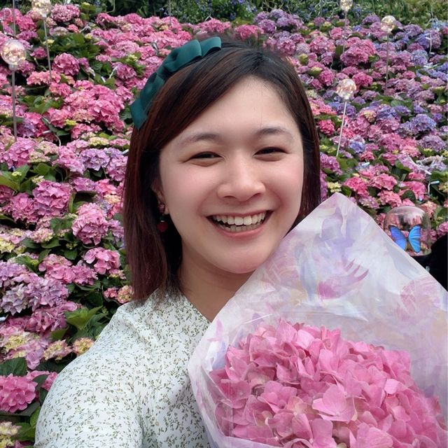 維園花展 繡球花盛開
