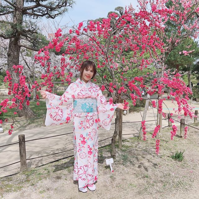 広島市　縮景園　桜