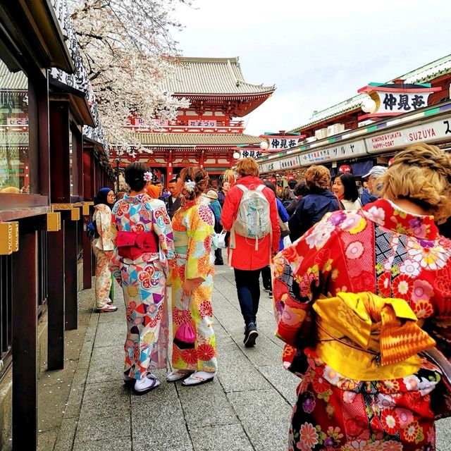 Spring in Asakusa, Tokyo 🌸🌸🌸