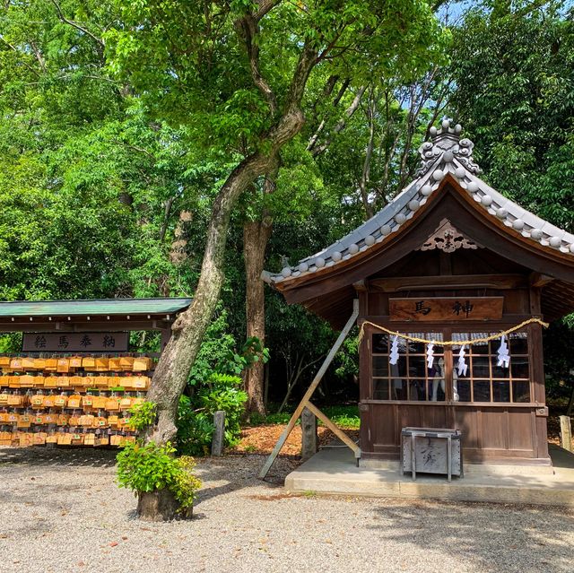 เทศกาลดอกไอริส 花じょうぶ祭