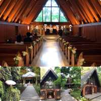 浪漫🌹醉人輕井澤高原教堂💒森林系建築