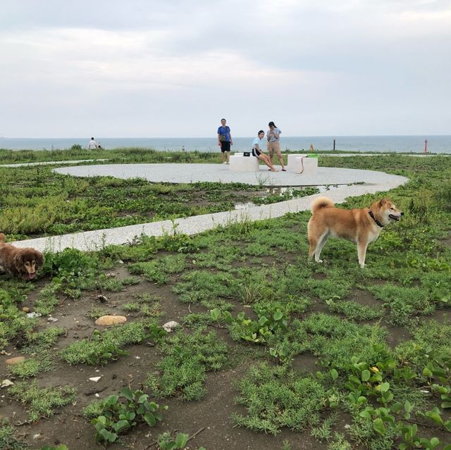 望海步道草地區