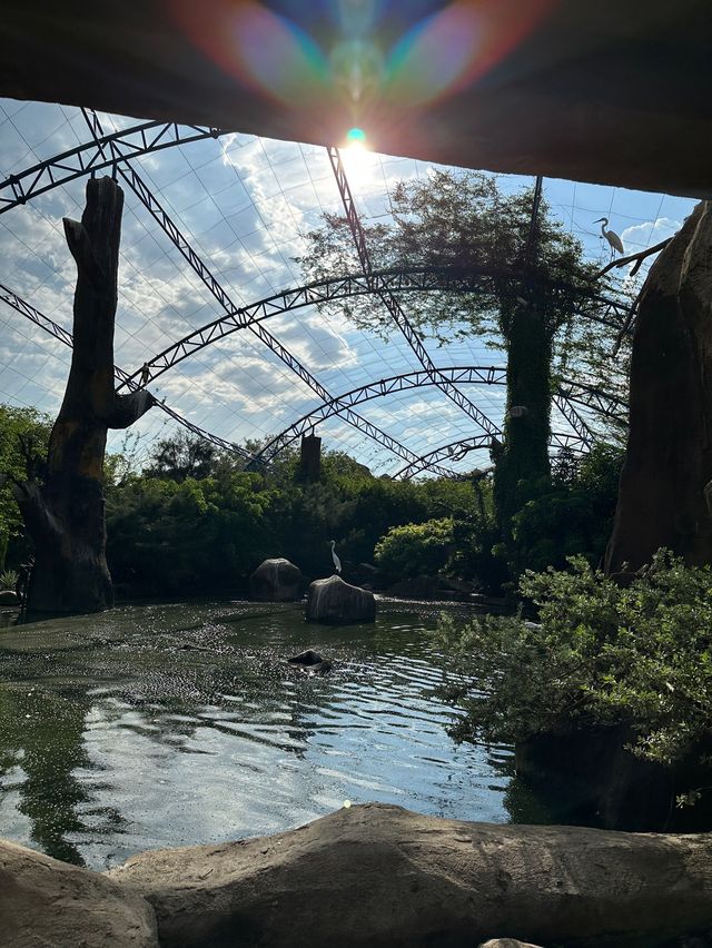 백조도 볼 수 있는 빈원더스 나트랑🦢