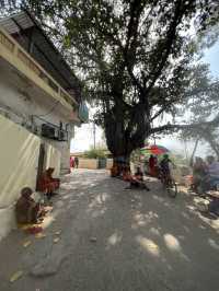 Rishikesh -Land of Yoga-