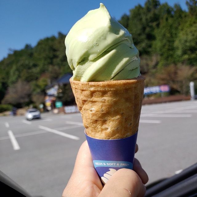 초록 잎이 펼쳐지는 아름다운 여행지, 보성 녹차밭