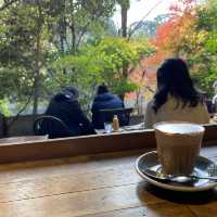 京都伏見稻荷必訪咖啡廳：Vermillion Cafe