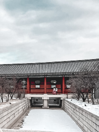 韓國必去活動景點景福宫🏯