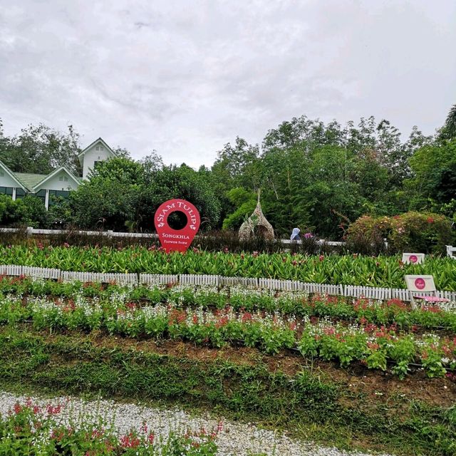 Songkhla Flower Farm