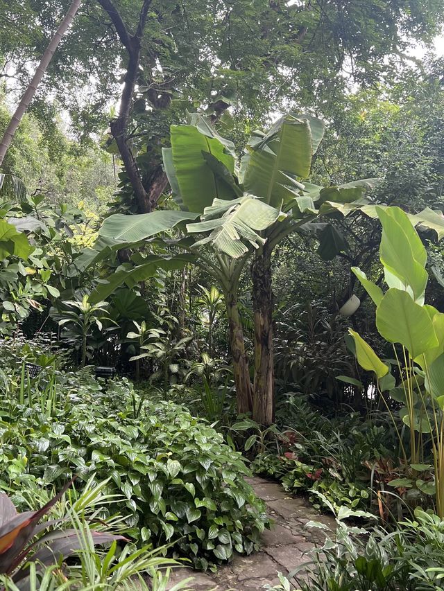 Yellow Lane คาเฟ่ในสวนใจกลางอารีย์ 