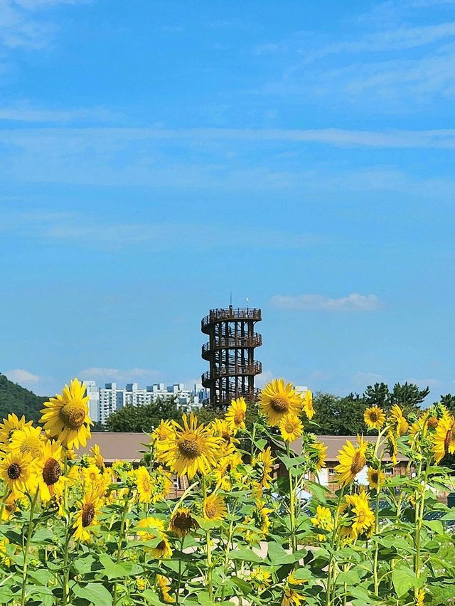 서울근교 힐링스팟 💚🌿갯골생태공원