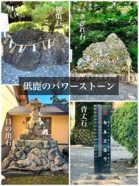 【愛知県/砥鹿神社】可愛い鹿のファミリーがいる神社