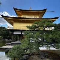 The speechless beauty of Kinkakuji 